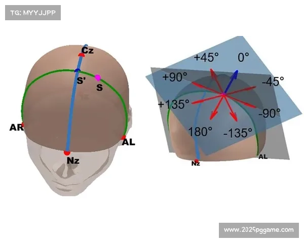 球员职业生涯规划受关注,如何平衡参赛与健康成课题 球员职业生涯规划受关注,如何平衡参赛与健康成课题