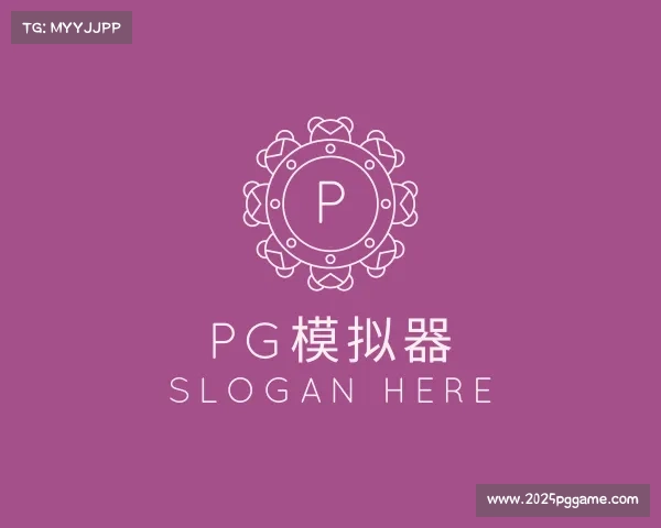 关于pg模拟器